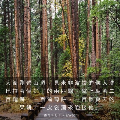 Picture 03 - 撒 母 耳 記 下 16:1 CUVT - 大 衛 剛 過 山 頂 ， 見 米 非 波 設 - Bible Verse Picture