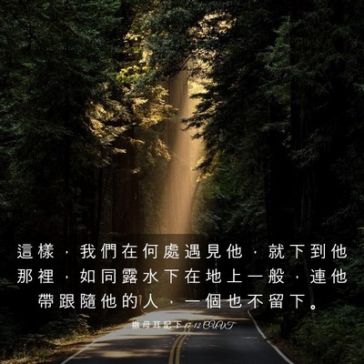 Picture 03 - 撒 母 耳 記 下 17:12 CUVT - 這 樣 ， 我 們 在 何 處 遇 見 他 ， - Bible Verse Picture