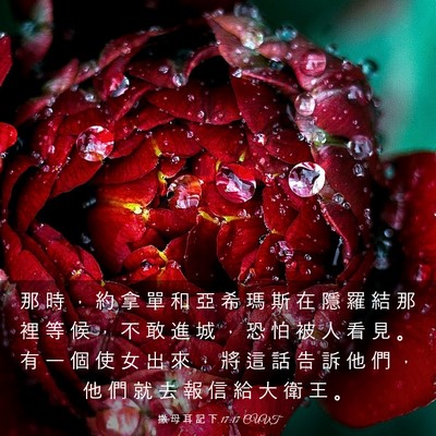 Picture 03 - 撒 母 耳 記 下 17:17 CUVT - 那 時 ， 約 拿 單 和 亞 希 瑪 斯 在 - Bible Verse Picture
