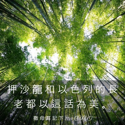 Picture 03 - 撒 母 耳 記 下 17:4 CUVT - 押 沙 龍 和 以 色 列 的 長 老 都 以 - Bible Verse Picture