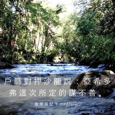 Picture 03 - 撒 母 耳 記 下 17:7 CUVT - 戶 篩 對 押 沙 龍 說 ： 亞 希 多 弗 - Bible Verse Picture