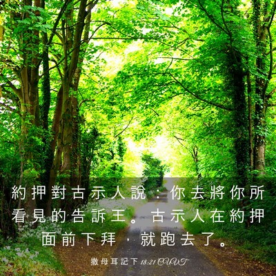 Picture 03 - 撒 母 耳 記 下 18:21 CUVT - 約 押 對 古 示 人 說 ： 你 去 將 你 - Bible Verse Picture