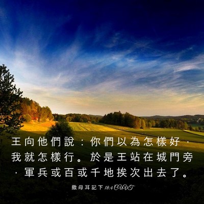 Picture 03 - 撒 母 耳 記 下 18:4 CUVT - 王 向 他 們 說 ： 你 們 以 為 怎 樣 - Bible Verse Picture