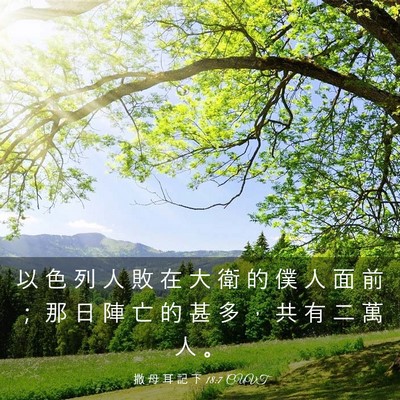 Picture 03 - 撒 母 耳 記 下 18:7 CUVT - 以 色 列 人 敗 在 大 衛 的 僕 人 面 - Bible Verse Picture