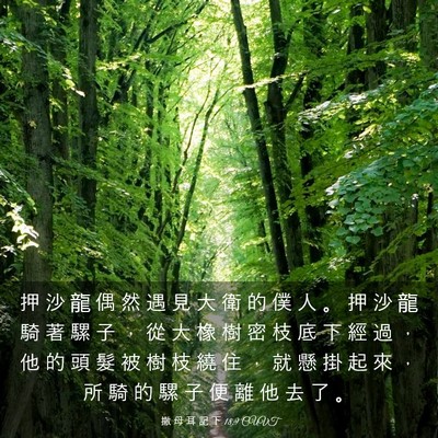 Picture 03 - 撒 母 耳 記 下 18:9 CUVT - 押 沙 龍 偶 然 遇 見 大 衛 的 僕 人 - Bible Verse Picture