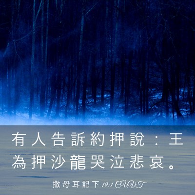 Picture 03 - 撒 母 耳 記 下 19:1 CUVT - 有 人 告 訴 約 押 說 ： 王 為 押 沙 - Bible Verse Picture