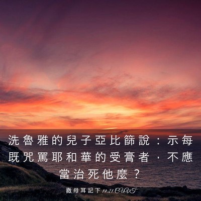 Picture 03 - 撒 母 耳 記 下 19:21 CUVT - 洗 魯 雅 的 兒 子 亞 比 篩 說 ： 示 - Bible Verse Picture