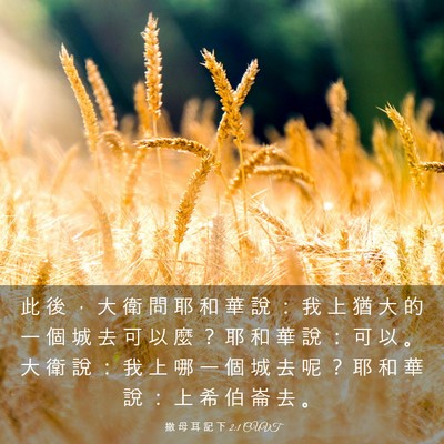 Picture 03 - 撒 母 耳 記 下 2:1 CUVT - 此 後 ， 大 衛 問 耶 和 華 說 ： 我 - Bible Verse Picture