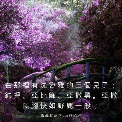 Picture 03 - 撒 母 耳 記 下 2:18 CUVT - 在 那 裡 有 洗 魯 雅 的 三 個 兒 子 - Bible Verse Picture