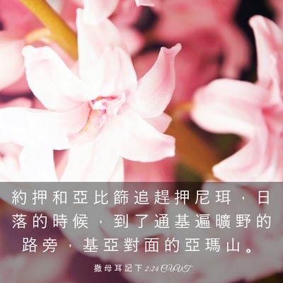 Picture 03 - 撒 母 耳 記 下 2:24 CUVT - 約 押 和 亞 比 篩 追 趕 押 尼 珥 ， - Bible Verse Picture
