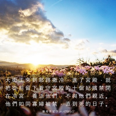 Picture 03 - 撒 母 耳 記 下 20:3 CUVT - 大 衛 王 來 到 耶 路 撒 冷 ， 進 了 - Bible Verse Picture