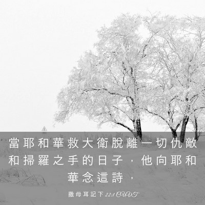 Picture 03 - 撒 母 耳 記 下 22:1 CUVT - 當 耶 和 華 救 大 衛 脫 離 一 切 仇 - Bible Verse Picture
