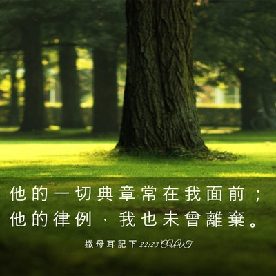 Picture 03 - 撒 母 耳 記 下 22:23 CUVT - 他 的 一 切 典 章 常 在 我 面 前 ； - Bible Verse Picture