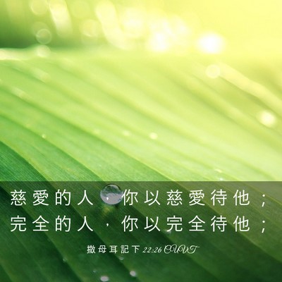 Picture 03 - 撒 母 耳 記 下 22:26 CUVT - 慈 愛 的 人 ， 你 以 慈 愛 待 他 ； - Bible Verse Picture