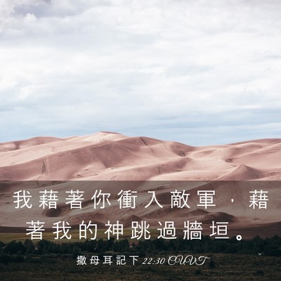 Picture 03 - 撒 母 耳 記 下 22:30 CUVT - 我 藉 著 你 衝 入 敵 軍 ， 藉 著 我 - Bible Verse Picture