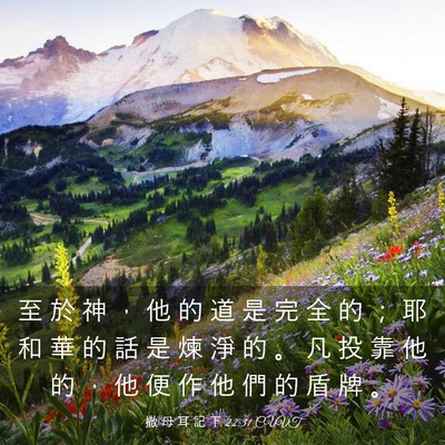 Picture 03 - 撒 母 耳 記 下 22:31 CUVT - 至 於 神 ， 他 的 道 是 完 全 的 ； - Bible Verse Picture