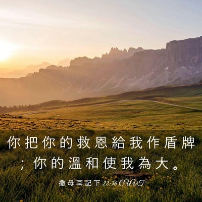 Picture 03 - 撒 母 耳 記 下 22:36 CUVT - 你 把 你 的 救 恩 給 我 作 盾 牌 ； - Bible Verse Picture