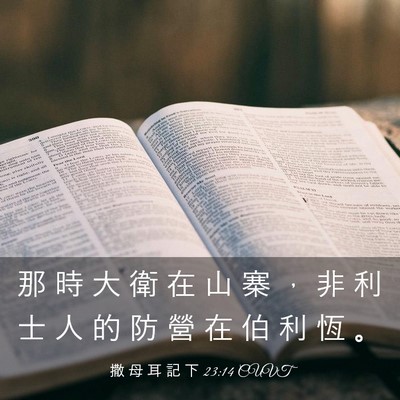 Picture 03 - 撒 母 耳 記 下 23:14 CUVT - 那 時 大 衛 在 山 寨 ， 非 利 士 人 - Bible Verse Picture