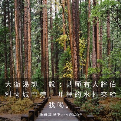 Picture 03 - 撒 母 耳 記 下 23:15 CUVT - 大 衛 渴 想 ， 說 ： 甚 願 有 人 將 - Bible Verse Picture
