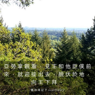 Picture 03 - 撒 母 耳 記 下 24:20 CUVT - 亞 勞 拿 觀 看 ， 見 王 和 他 臣 僕 - Bible Verse Picture