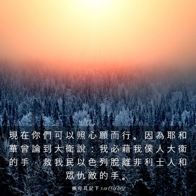 Picture 03 - 撒 母 耳 記 下 3:18 CUVT - 現 在 你 們 可 以 照 心 願 而 行 。 - Bible Verse Picture