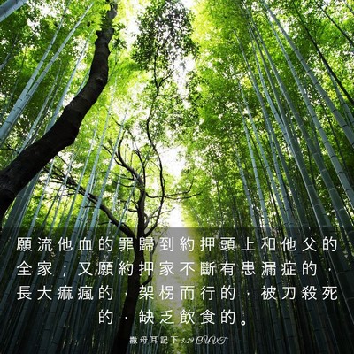 Picture 03 - 撒 母 耳 記 下 3:29 CUVT - 願 流 他 血 的 罪 歸 到 約 押 頭 上 - Bible Verse Picture