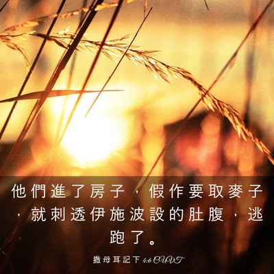 Picture 03 - 撒 母 耳 記 下 4:6 CUVT - 他 們 進 了 房 子 ， 假 作 要 取 麥 - Bible Verse Picture