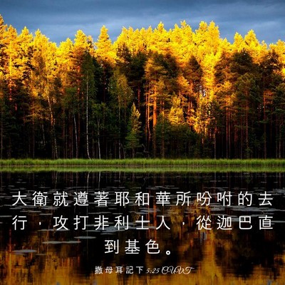 Picture 03 - 撒 母 耳 記 下 5:25 CUVT - 大 衛 就 遵 著 耶 和 華 所 吩 咐 的 - Bible Verse Picture