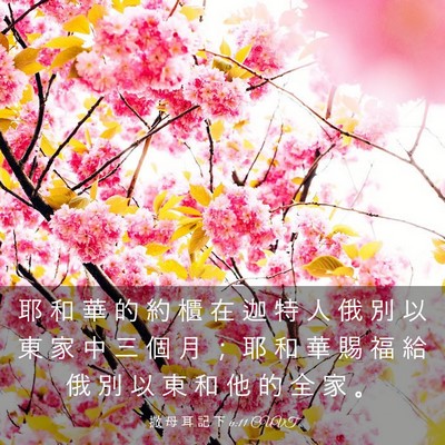 Picture 03 - 撒 母 耳 記 下 6:11 CUVT - 耶 和 華 的 約 櫃 在 迦 特 人 俄 別 - Bible Verse Picture