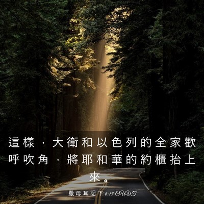 Picture 03 - 撒 母 耳 記 下 6:15 CUVT - 這 樣 ， 大 衛 和 以 色 列 的 全 家 - Bible Verse Picture