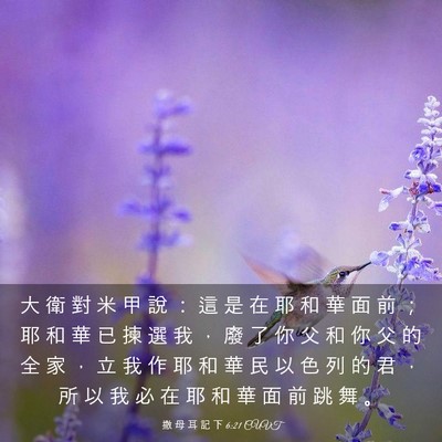 Picture 03 - 撒 母 耳 記 下 6:21 CUVT - 大 衛 對 米 甲 說 ： 這 是 在 耶 和 - Bible Verse Picture