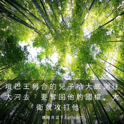 Picture 03 - 撒 母 耳 記 下 8:3 CUVT - 瑣 巴 王 利 合 的 兒 子 哈 大 底 謝 - Bible Verse Picture