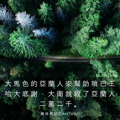 Picture 03 - 撒 母 耳 記 下 8:5 CUVT - 大 馬 色 的 亞 蘭 人 來 幫 助 瑣 巴 - Bible Verse Picture