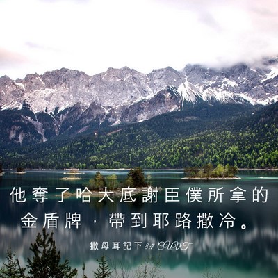 Picture 03 - 撒 母 耳 記 下 8:7 CUVT - 他 奪 了 哈 大 底 謝 臣 僕 所 拿 的 - Bible Verse Picture