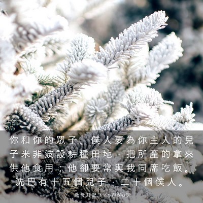 Picture 03 - 撒 母 耳 記 下 9:10 CUVT - 你 和 你 的 眾 子 、 僕 人 要 為 你 - Bible Verse Picture
