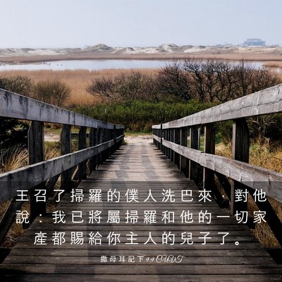 Picture 03 - 撒 母 耳 記 下 9:9 CUVT - 王 召 了 掃 羅 的 僕 人 洗 巴 來 ， - Bible Verse Picture