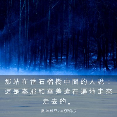 Picture 03 - 撒 迦 利 亞 1:10 CUVT - 那 站 在 番 石 榴 樹 中 間 的 人 說 - Bible Verse Picture