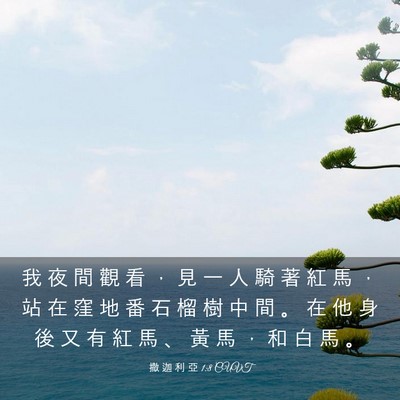 Picture 03 - 撒 迦 利 亞 1:8 CUVT - 我 夜 間 觀 看 ， 見 一 人 騎 著 紅 - Bible Verse Picture