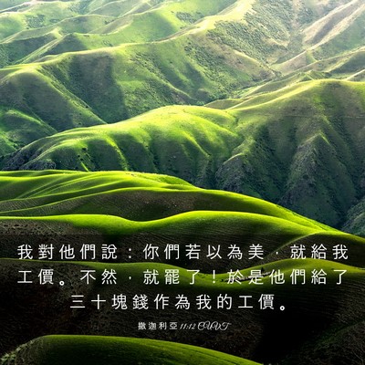 Picture 03 - 撒 迦 利 亞 11:12 CUVT - 我 對 他 們 說 ： 你 們 若 以 為 美 - Bible Verse Picture