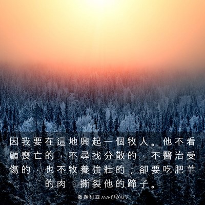 Picture 03 - 撒 迦 利 亞 11:16 CUVT - 因 我 要 在 這 地 興 起 一 個 牧 人 - Bible Verse Picture
