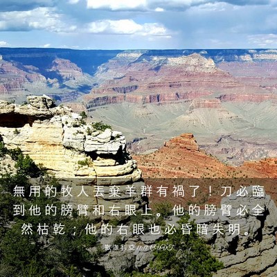 Picture 03 - 撒 迦 利 亞 11:17 CUVT - 無 用 的 牧 人 丟 棄 羊 群 有 禍 了 - Bible Verse Picture
