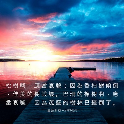 Picture 03 - 撒 迦 利 亞 11:2 CUVT - 松 樹 啊 ， 應 當 哀 號 ； 因 為 香 - Bible Verse Picture