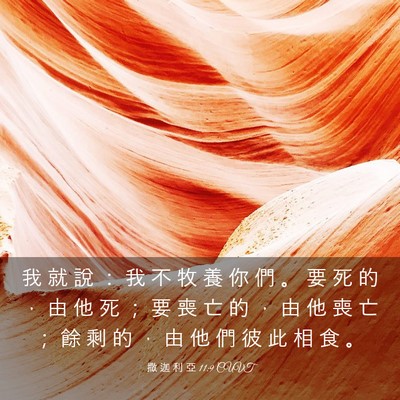 Picture 03 - 撒 迦 利 亞 11:9 CUVT - 我 就 說 ： 我 不 牧 養 你 們 。 要 - Bible Verse Picture