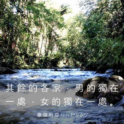 Picture 03 - 撒 迦 利 亞 12:14 CUVT - 其 餘 的 各 家 ， 男 的 獨 在 一 處 - Bible Verse Picture