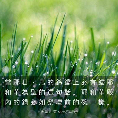 Picture 03 - 撒 迦 利 亞 14:20 CUVT - 當 那 日 ， 馬 的 鈴 鐺 上 必 有 歸 - Bible Verse Picture