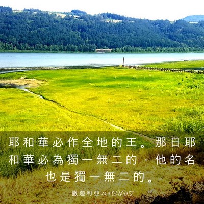 Picture 03 - 撒 迦 利 亞 14:9 CUVT - 耶 和 華 必 作 全 地 的 王 。 那 日 - Bible Verse Picture