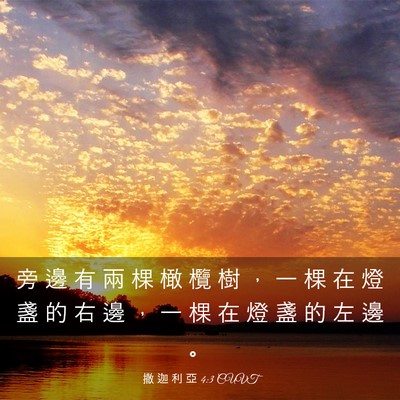 Picture 03 - 撒 迦 利 亞 4:3 CUVT - 旁 邊 有 兩 棵 橄 欖 樹 ， 一 棵 在 - Bible Verse Picture