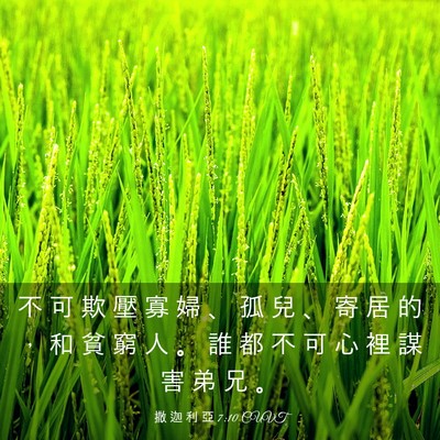 Picture 03 - 撒 迦 利 亞 7:10 CUVT - 不 可 欺 壓 寡 婦 、 孤 兒 、 寄 居 - Bible Verse Picture