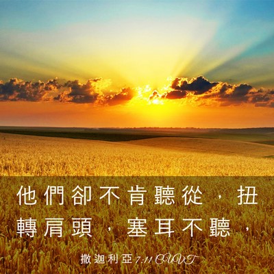 Picture 03 - 撒 迦 利 亞 7:11 CUVT - 他 們 卻 不 肯 聽 從 ， 扭 轉 肩 頭 - Bible Verse Picture