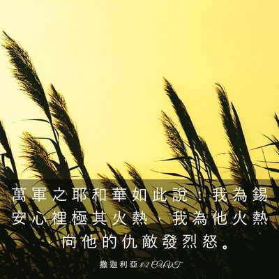 Picture 03 - 撒 迦 利 亞 8:2 CUVT - 萬 軍 之 耶 和 華 如 此 說 ： 我 為 - Bible Verse Picture